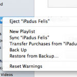 sync and backup from iTunes